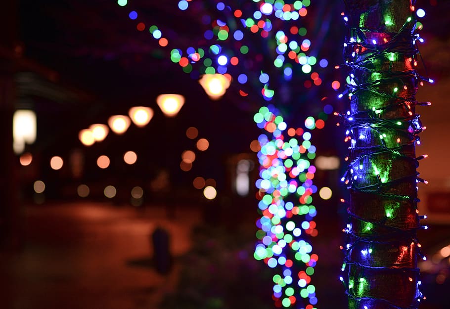 Decorating a Yard or a Garden with Solar Light Strings